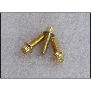 šroub M7x24mm hlava 14mm - zlaté zlato gold